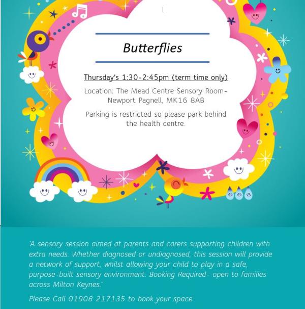 Butterflies information poster