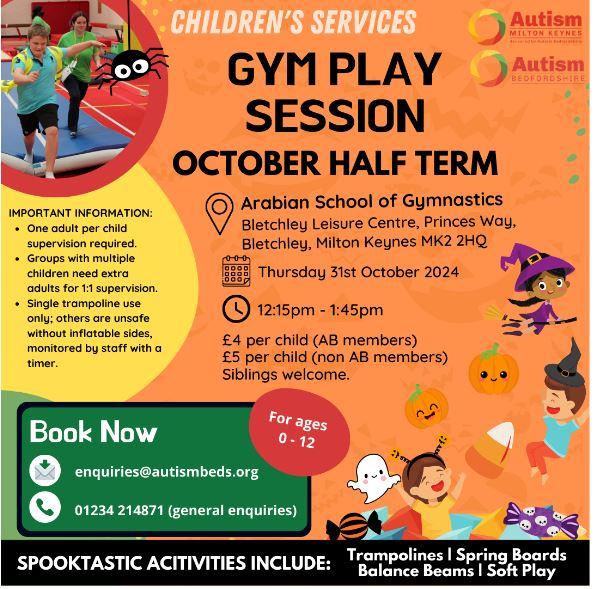 Autism Milton Keynes Gym Play Session 