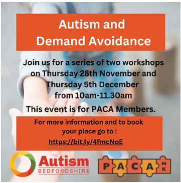 Autism and demand avoidance poster 